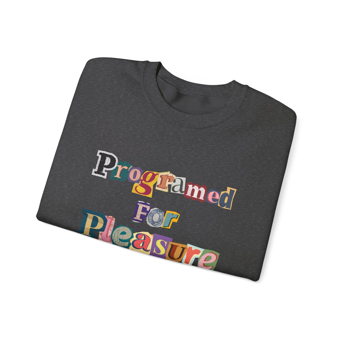 Programmed For Pleasure Sweatshirt | Unisex Heavy Blend™ Crewneck