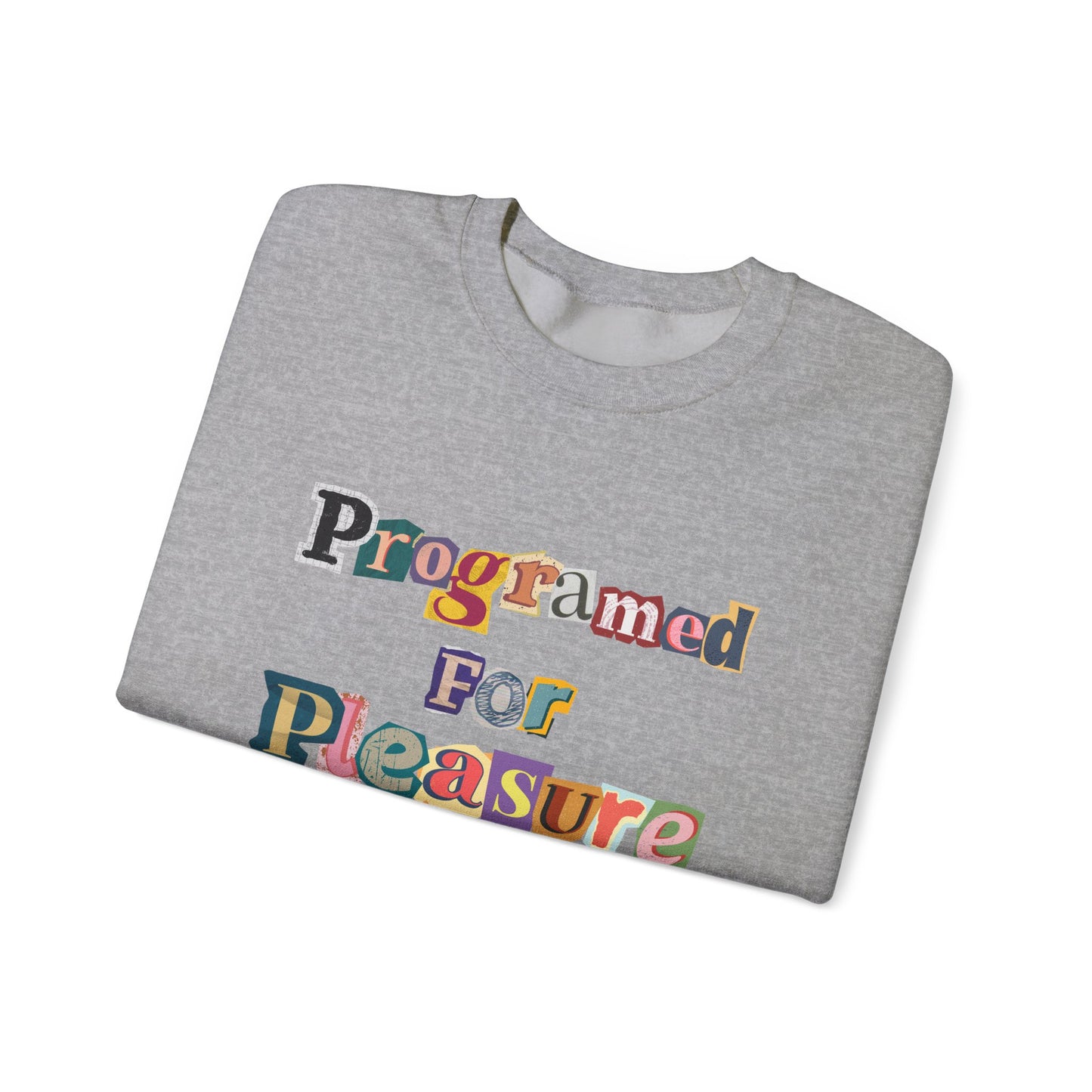 Programmed For Pleasure Sweatshirt | Unisex Heavy Blend™ Crewneck